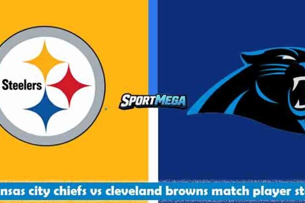 pittsburgh steelers vs carolina panthers match player stats