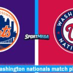 mets vs washington nationals match player stats