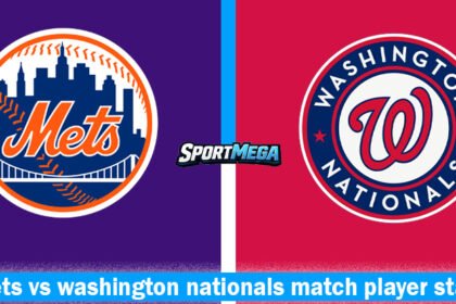 mets vs washington nationals match player stats