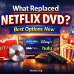What Replaced Netflix DVD? Best Options Now
